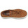 Shoes Men Low top trainers Timberland MAPLE GROVE Brown