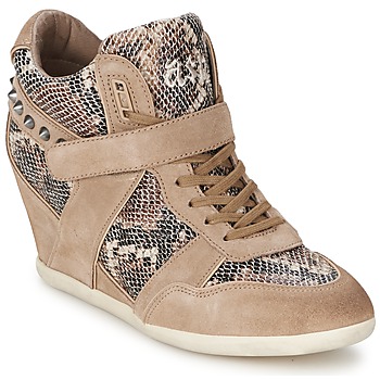 Shoes Women High top trainers Ash BISOU Taupe / Python