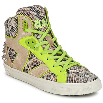 Shoes Women High top trainers Ash SONIC Python / Yellow