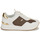 Shoes Women Low top trainers MICHAEL Michael Kors RAINA TRAINER Beige / Brown / Gold