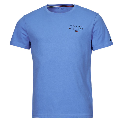 Clothing Men short-sleeved t-shirts Tommy Hilfiger CN SS TEE LOGO Blue