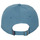Accessorie Men Caps Patagonia P-6 LABEL TRAD CAP Blue