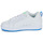 Shoes Men Low top trainers DC Shoes COURT GRAFFIK White / Blue