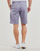 Clothing Men Shorts / Bermudas Volcom FRCKN MDN STRCH SHT 21 Violet