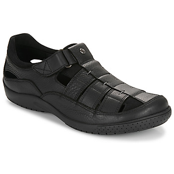 Shoes Men Sandals Panama Jack MERIDIAN C25 Black