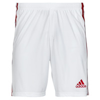 Clothing Men Shorts / Bermudas adidas Performance SQUAD 21 SHO White / Red