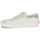 Shoes Low top trainers Vans Sport Low TRI-TONE GREEN White / Green