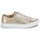 Shoes Women Low top trainers Only ONLNICOLA CANVAS SNEAKER METALLIC Gold