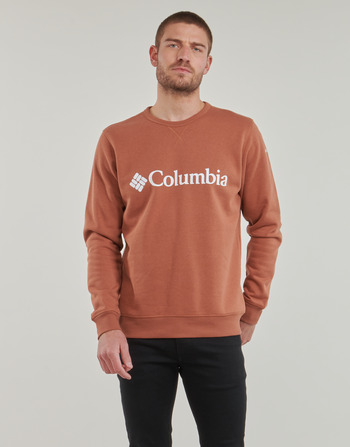 Clothing Men sweaters Columbia CSC Basic Logo II Hoodie Brown