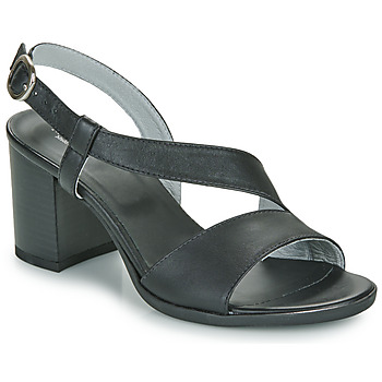 Shoes Women Sandals NeroGiardini E410440D Black