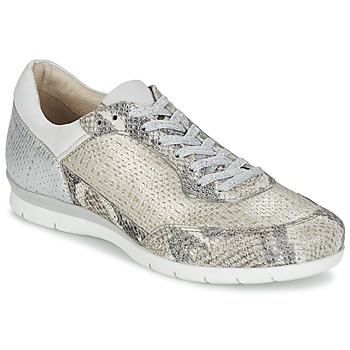 Shoes Women Low top trainers Mjus FORCE Serpent / Silver