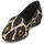 Shoes Women Ballerinas Roberto Cavalli XPS280-FLA41 Leopard