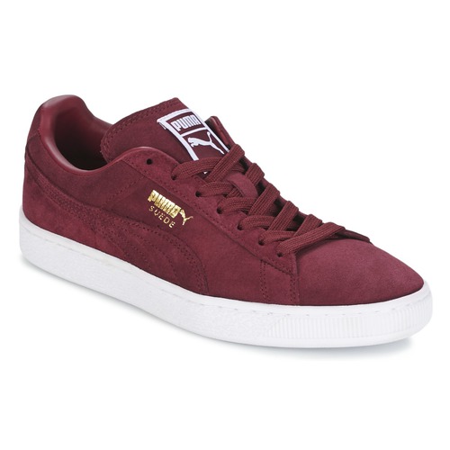 Puma SUEDE CLASSIC + Bordeaux - Fast delivery Spartoo Europe - Shoes Low top Men 70,40 €