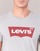 material Men short-sleeved t-shirts Levi's GRAPHIC SET-IN Grey