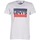 material Men short-sleeved t-shirts Levi's SPORTSWEAR LOGO GRAPHIC Grey