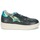 Shoes Women Low top trainers Ash FOOL Black / Green